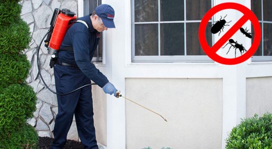 Bostanlı Gümüşkurt İlaçlama böcek ilaçlama ve haşere kontrolü — ilaclama-tr.com